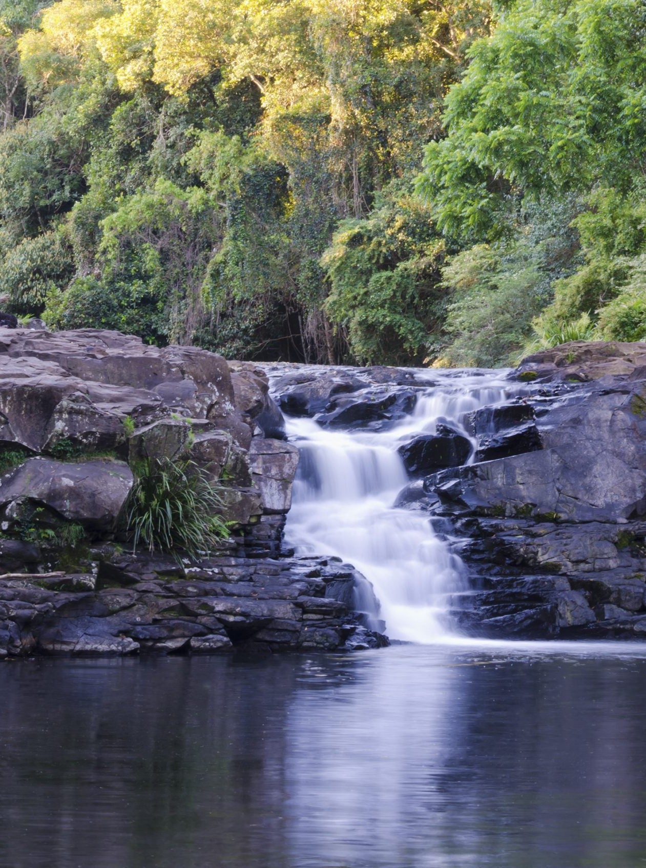 The 'Gardeners Falls' Hamper