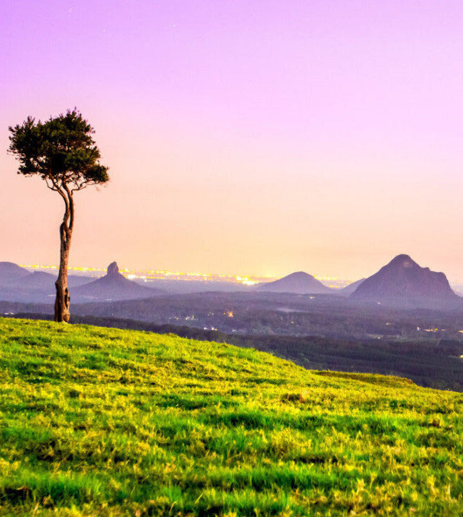 The 'Hinterland Hills' Hamper